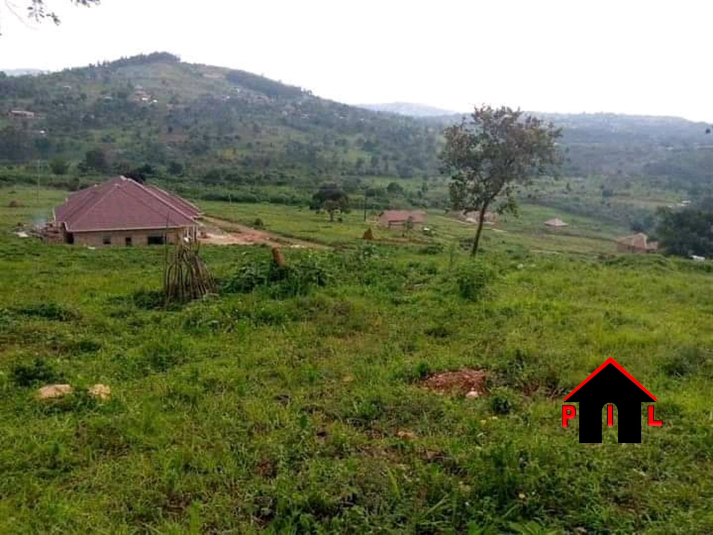 Agricultural Land for sale in Bulungi Nakaseke