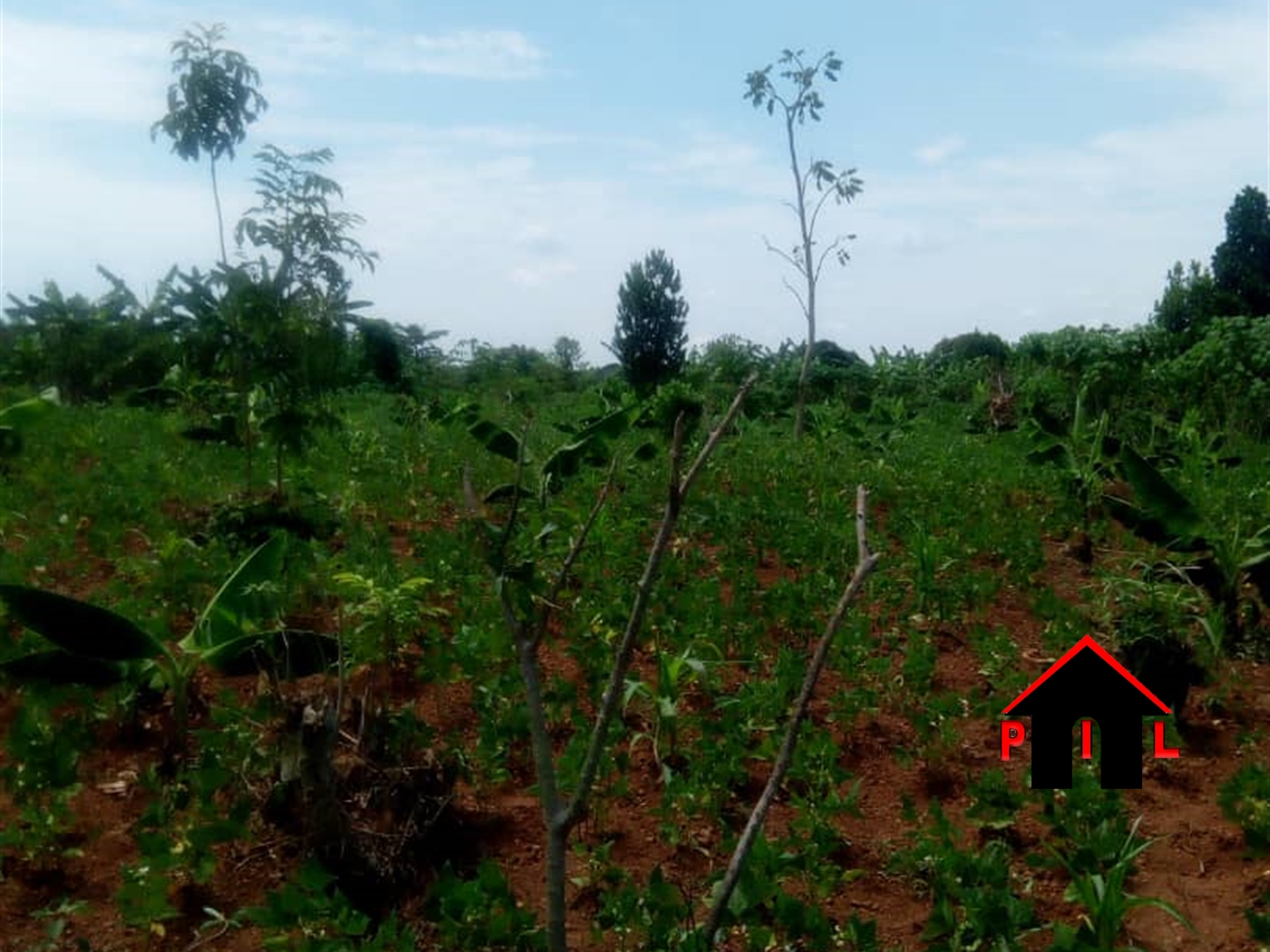 Agricultural Land for sale in Busiika Wakiso