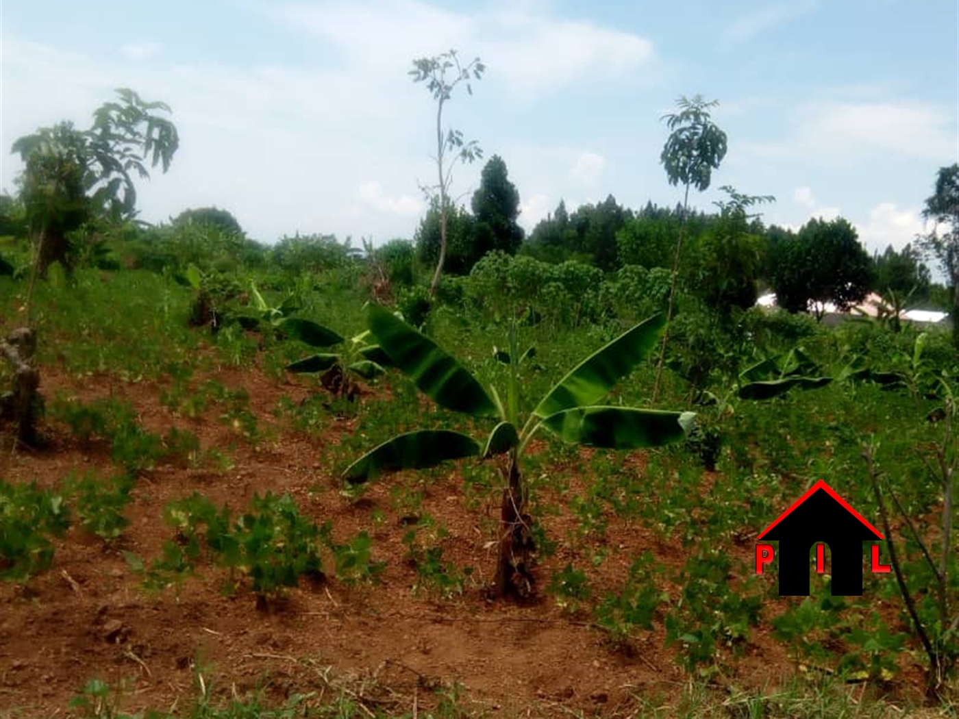 Agricultural Land for sale in Busiika Wakiso