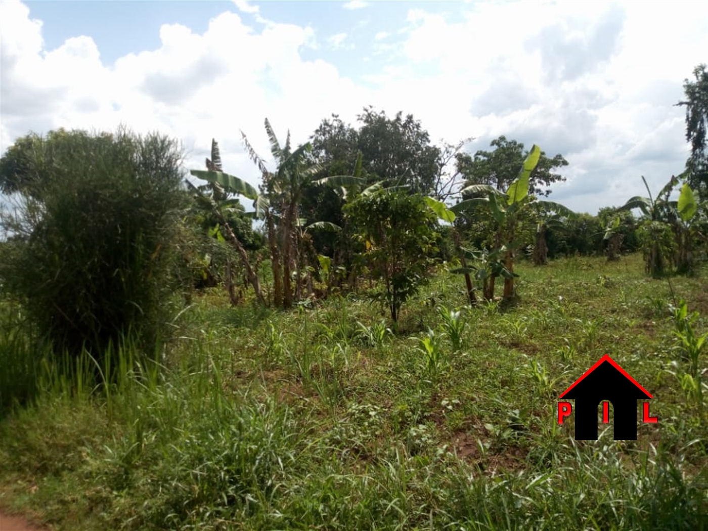 Agricultural Land for sale in Ntenjjeru Mukono