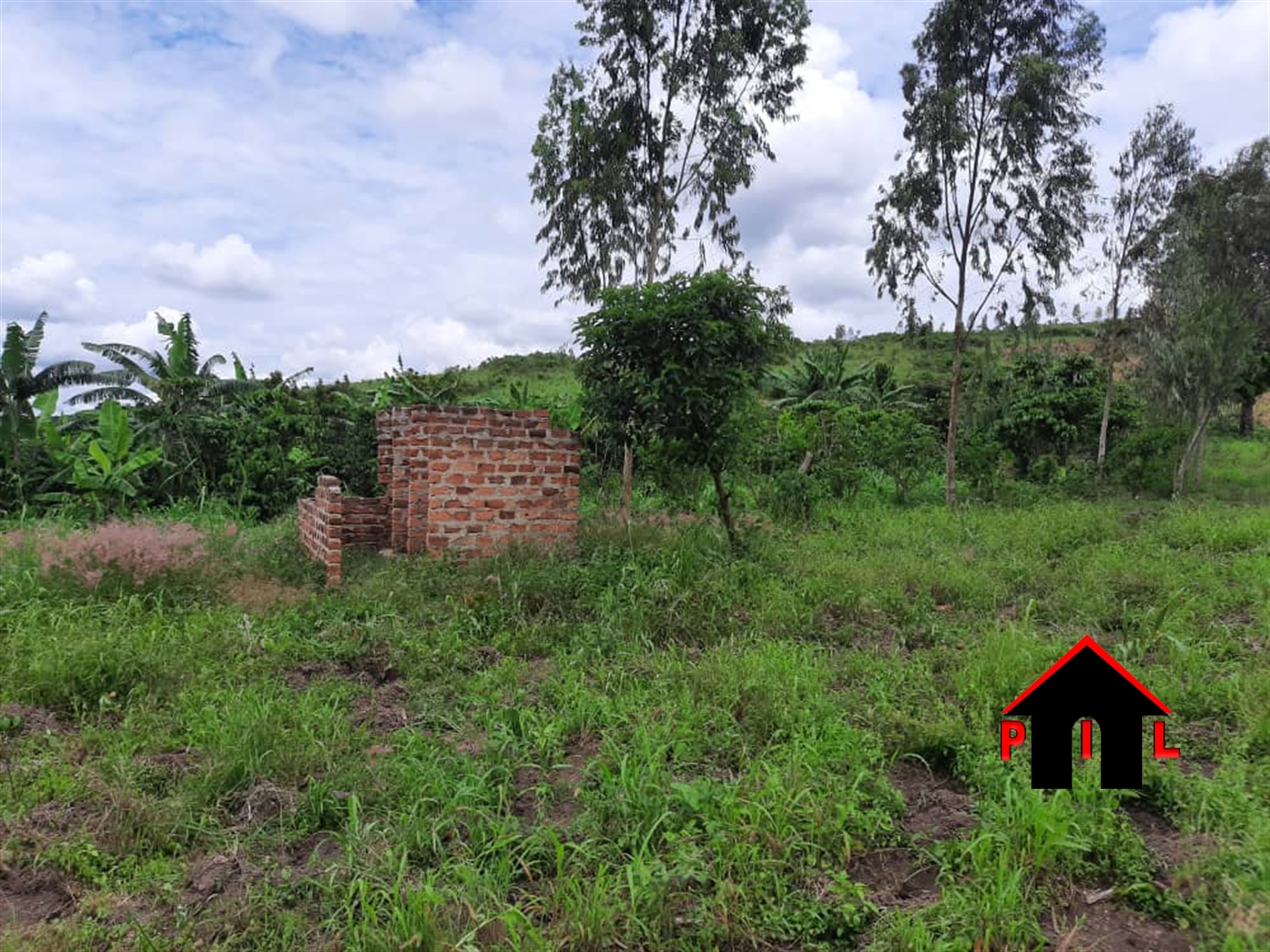 Agricultural Land for sale in Nakisunga Mukono