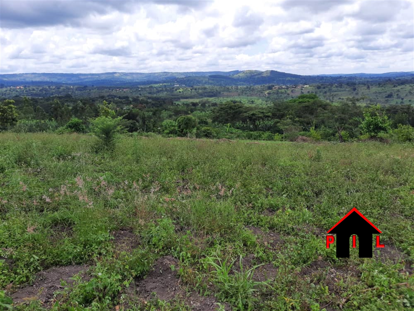 Residential Land for sale in Namataba Mukono