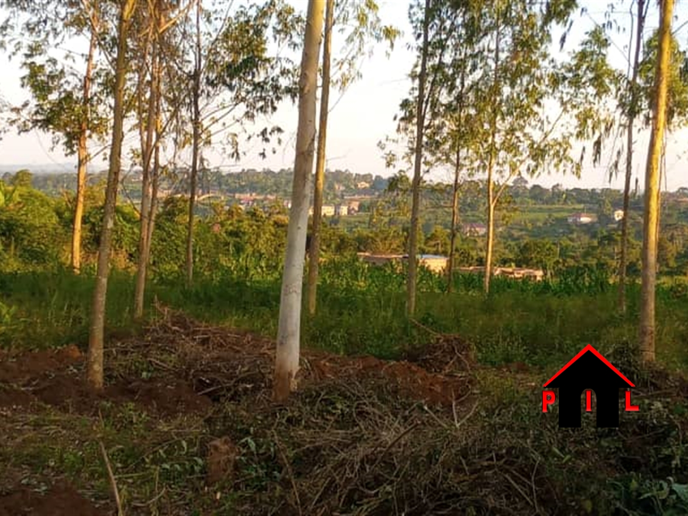 Agricultural Land for sale in Busukuma Wakiso