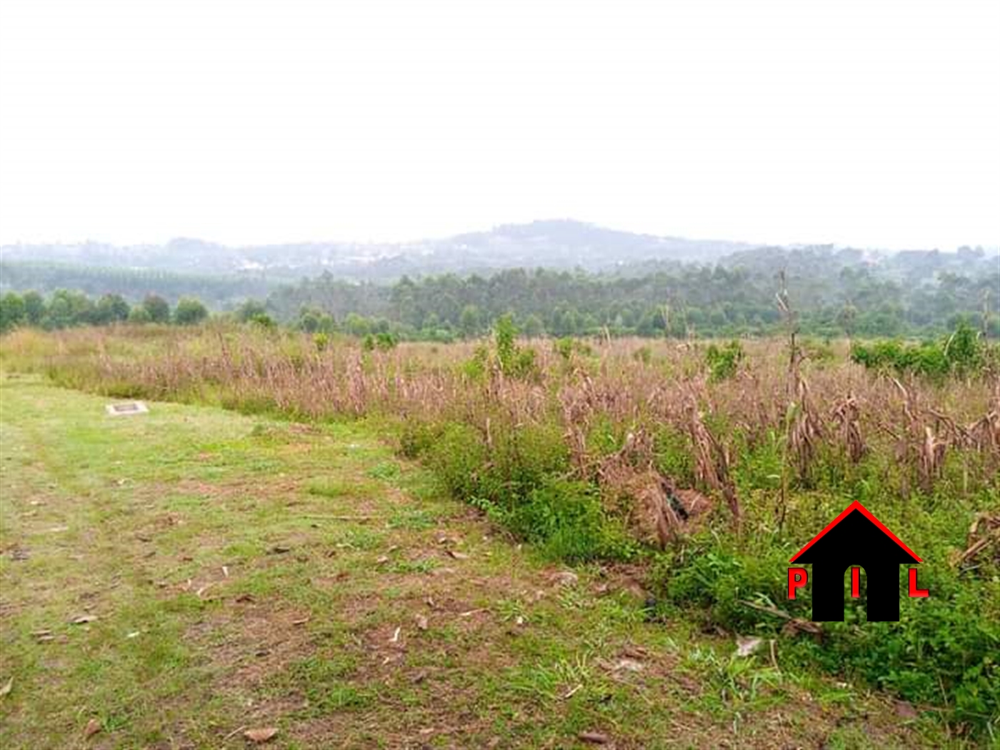 Agricultural Land for sale in Bukeelele Wakiso