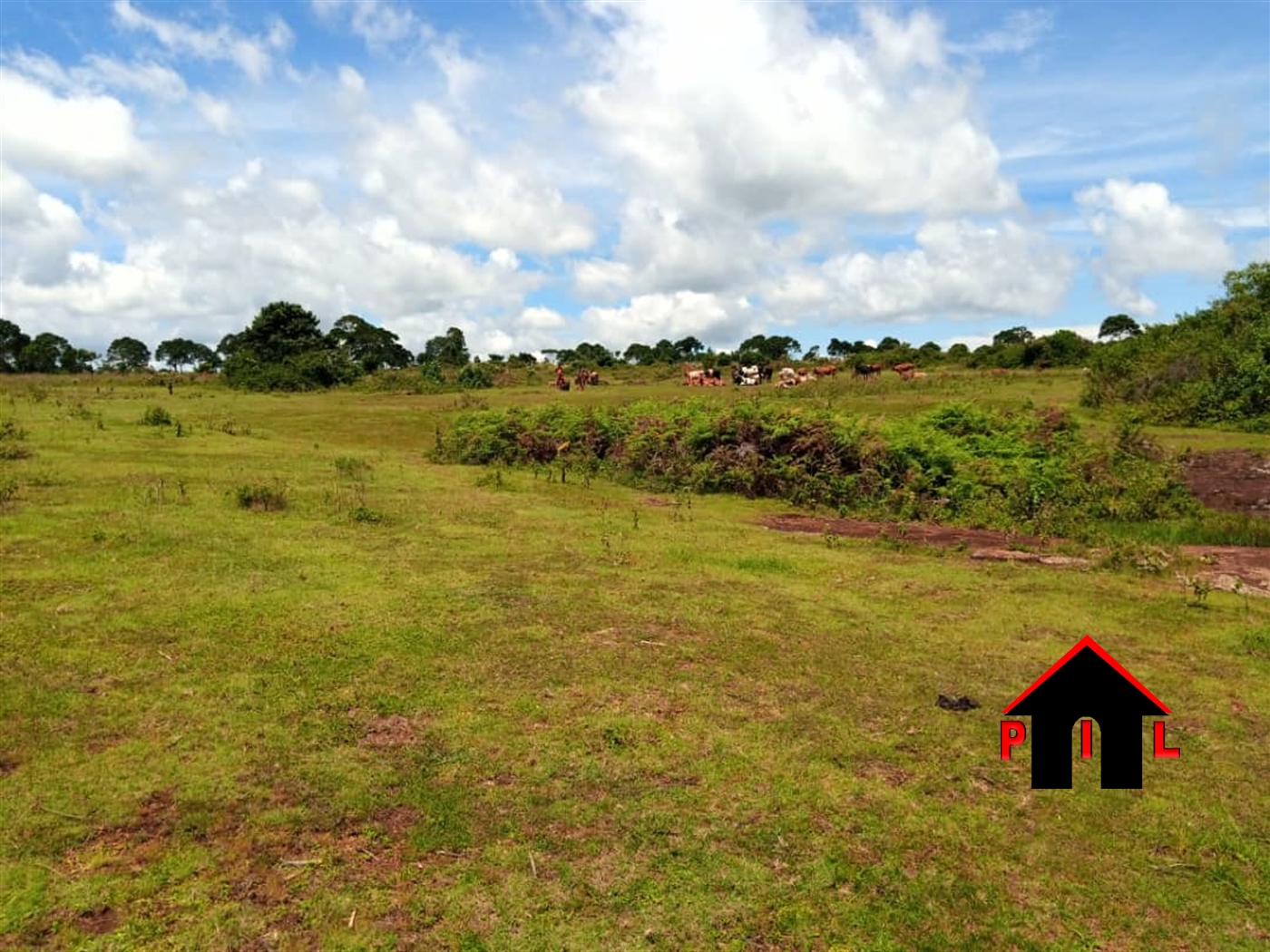 Agricultural Land for sale in Nkokonjeru Jinja