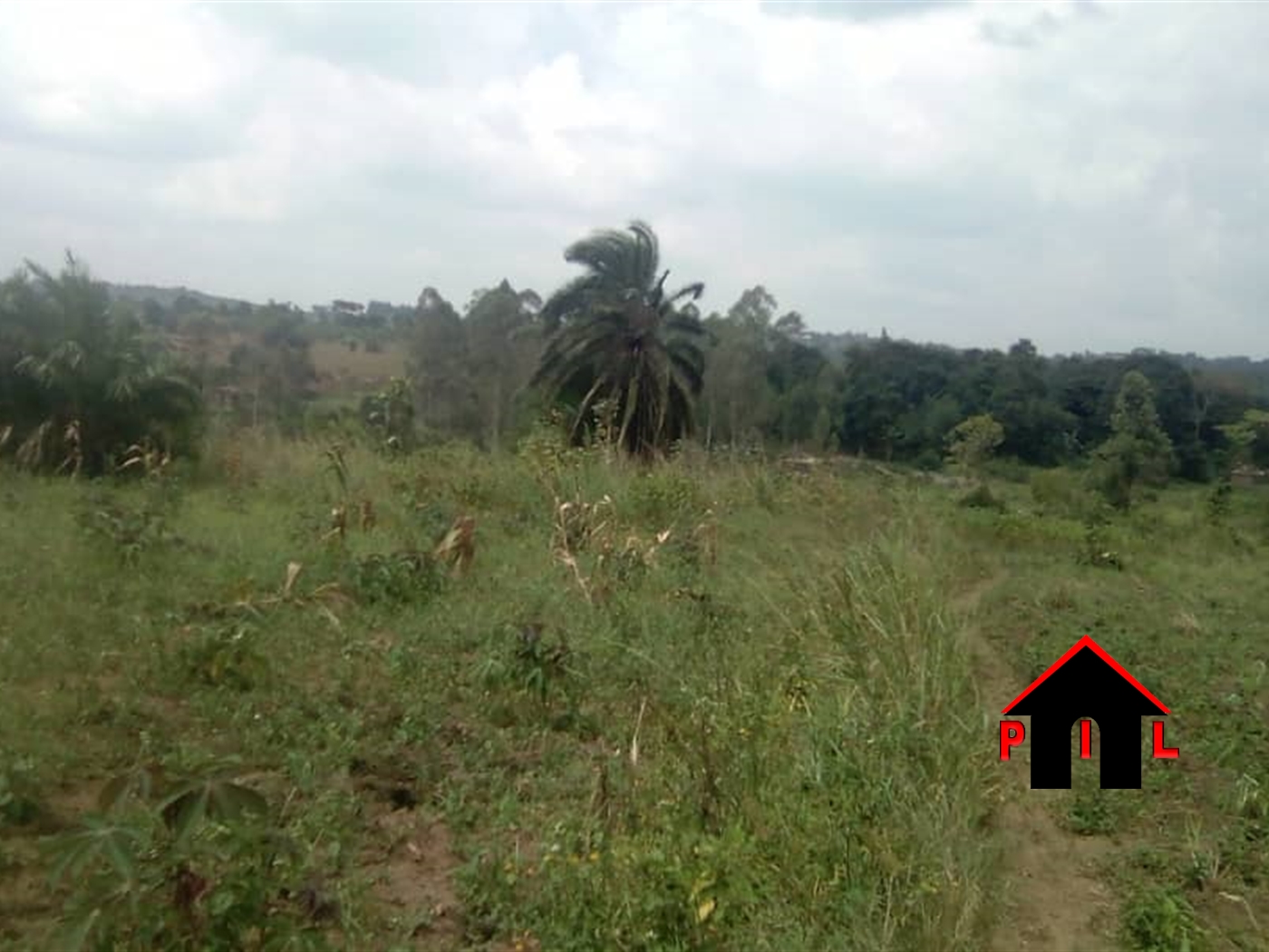 Agricultural Land for sale in Mabanga Mpigi