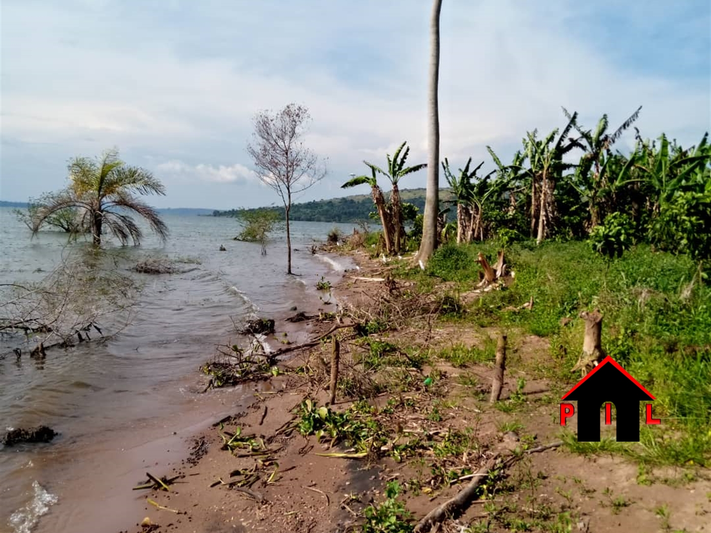 Agricultural Land for sale in Nkokonjeru Buyikwe