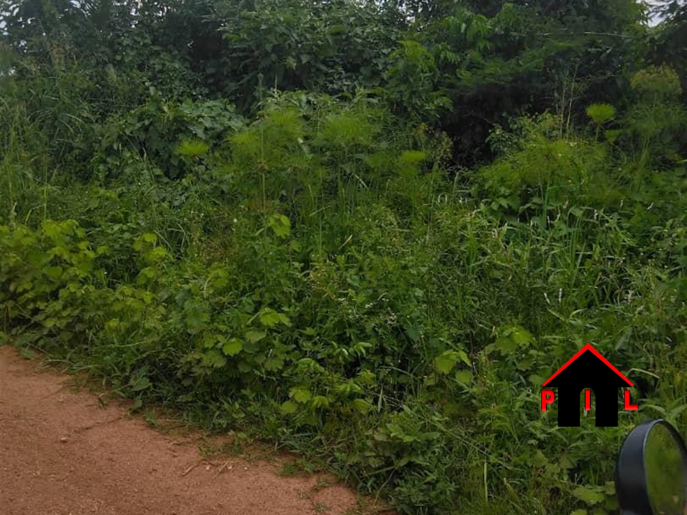 Agricultural Land for sale in Kanyanda Nakaseke