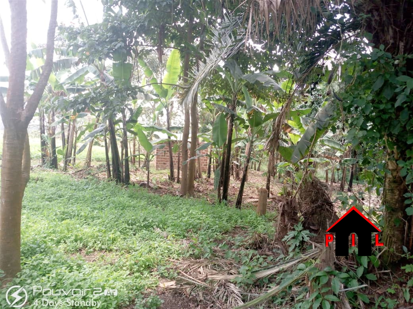 Agricultural Land for sale in Kasoozi Nakaseke