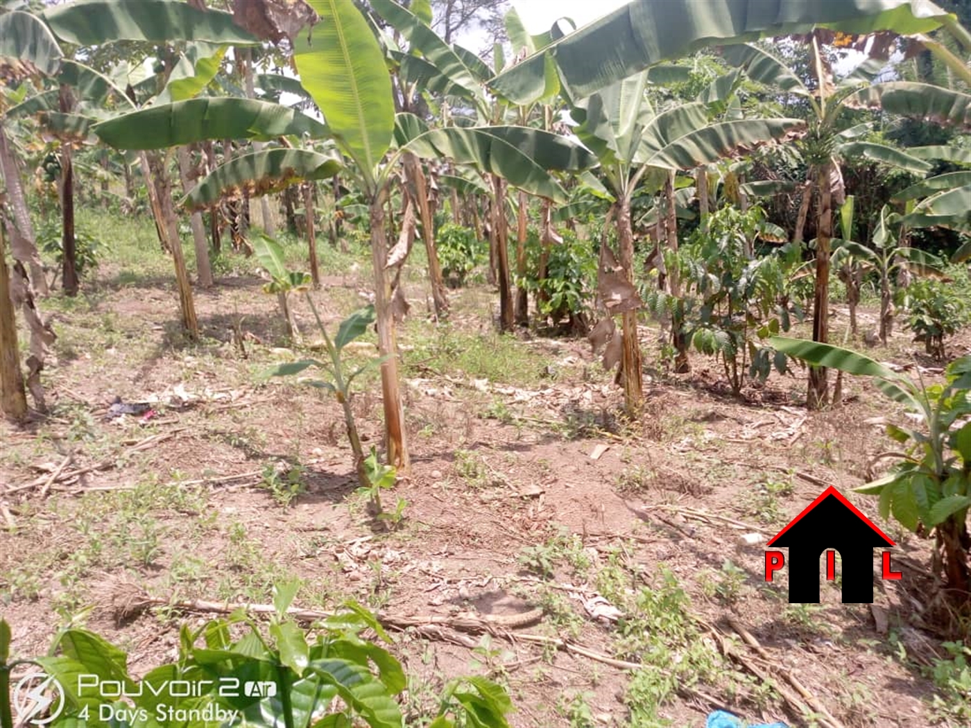 Agricultural Land for sale in Kasoozi Nakaseke