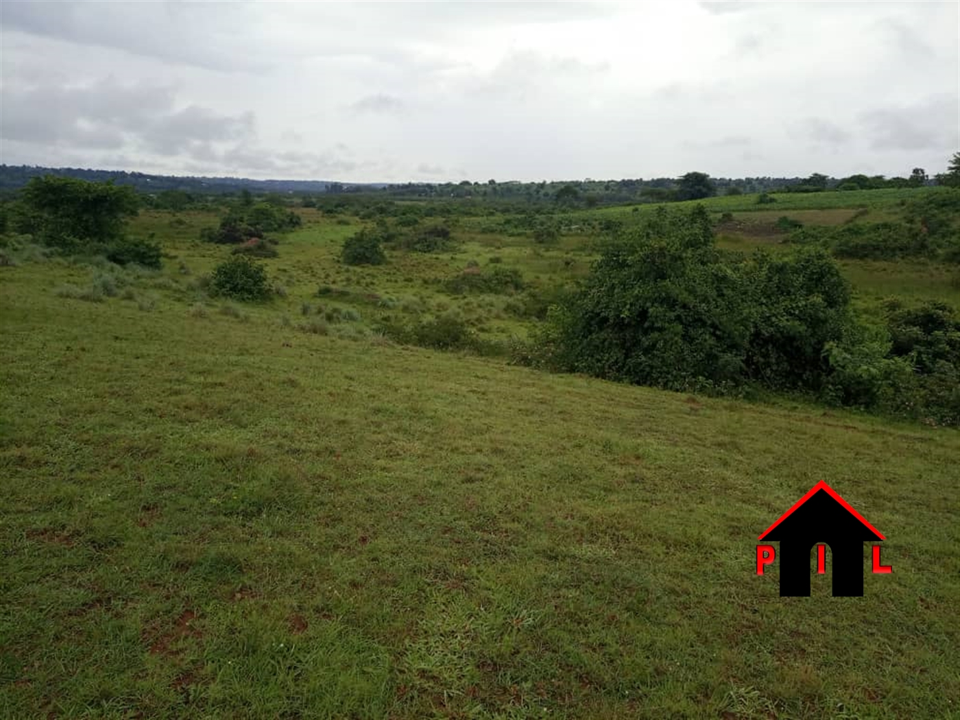 Agricultural Land for sale in Mbilizi Masaka