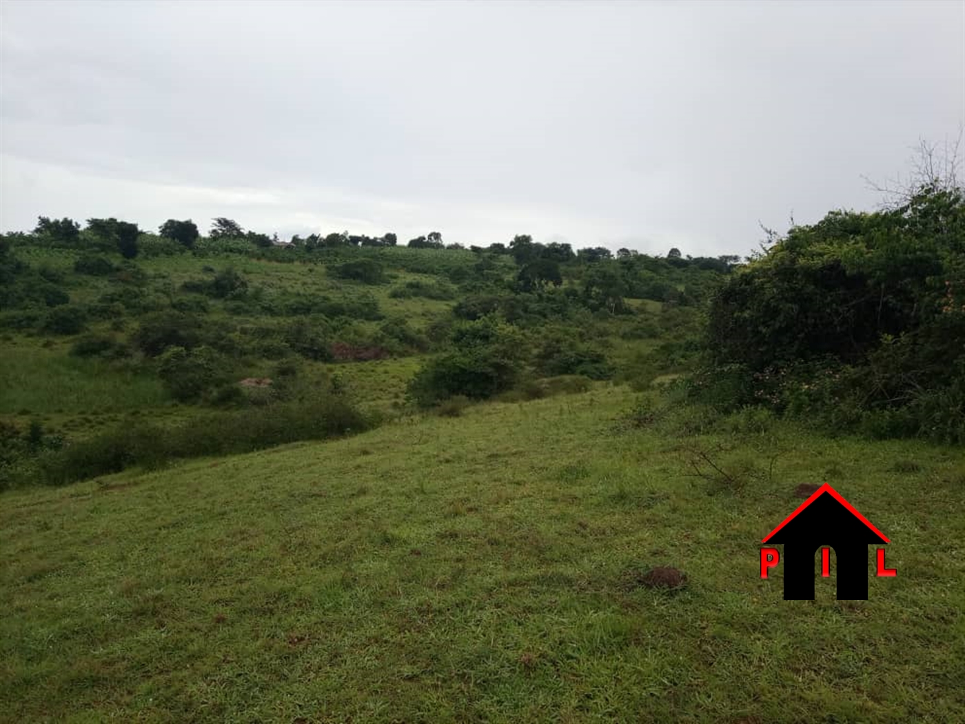 Agricultural Land for sale in Mbilizi Masaka