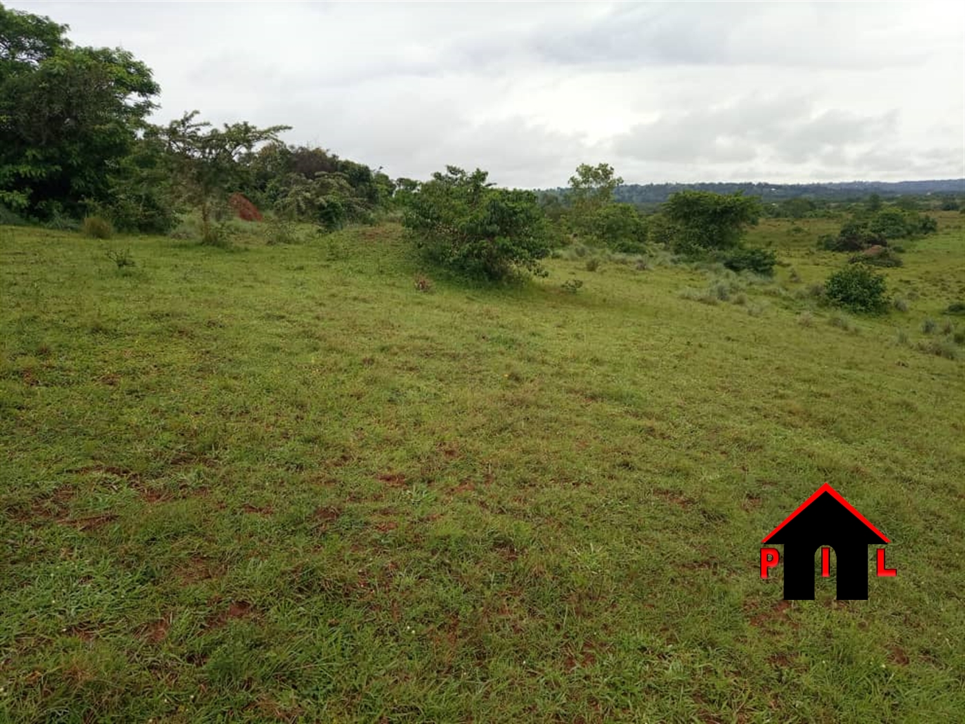 Agricultural Land for sale in Mbirizi Masaka