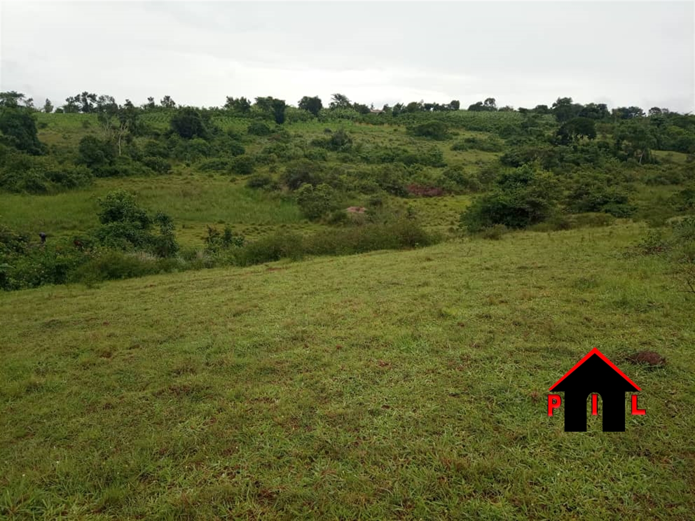 Agricultural Land for sale in Mbirizi Masaka