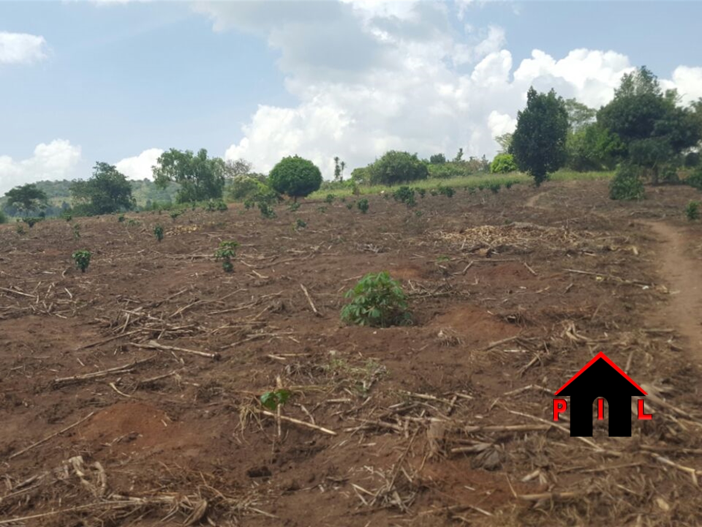 Agricultural Land for sale in Myanzi Mityana