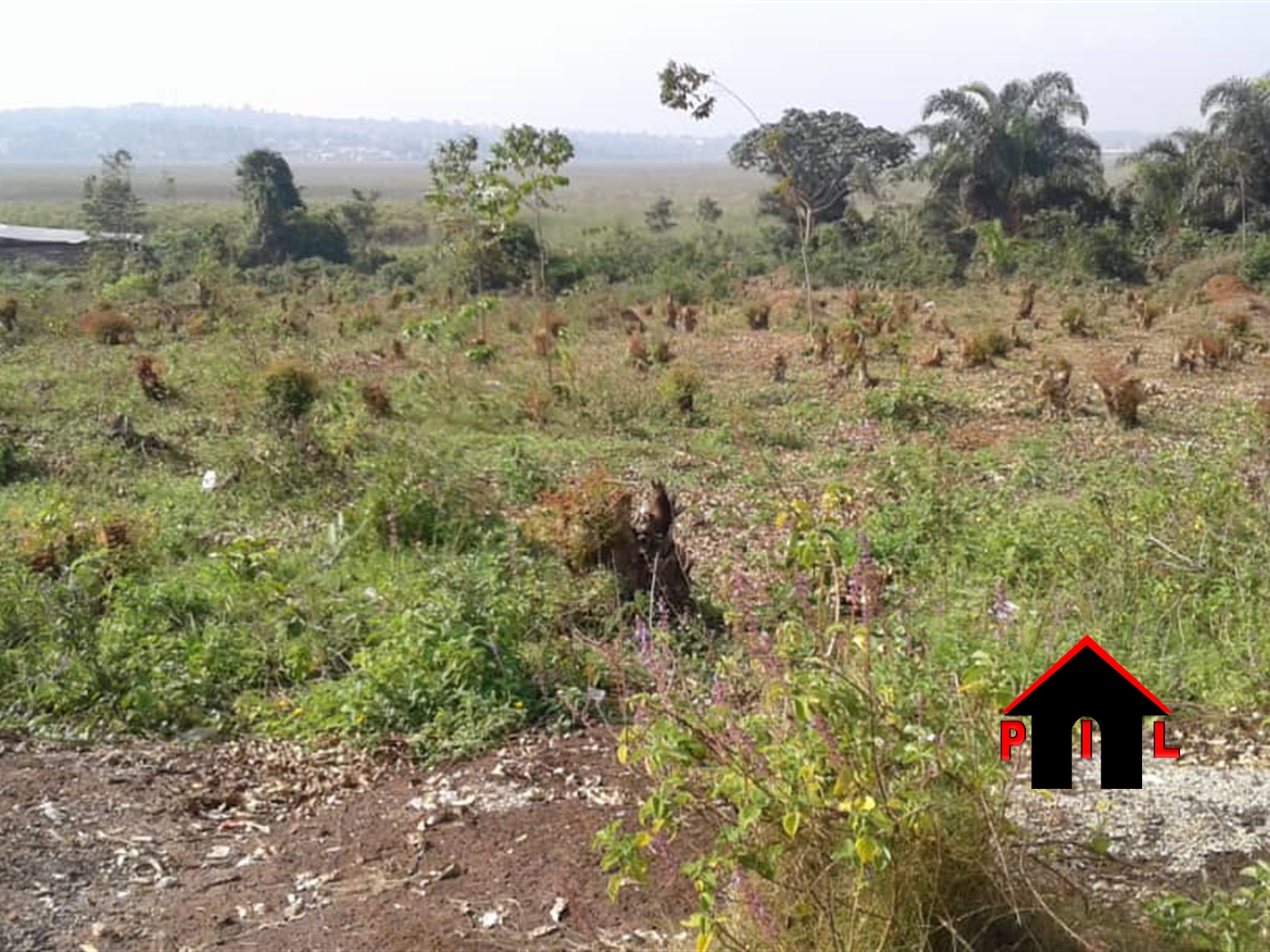 Agricultural Land for sale in Kassanda Mubende