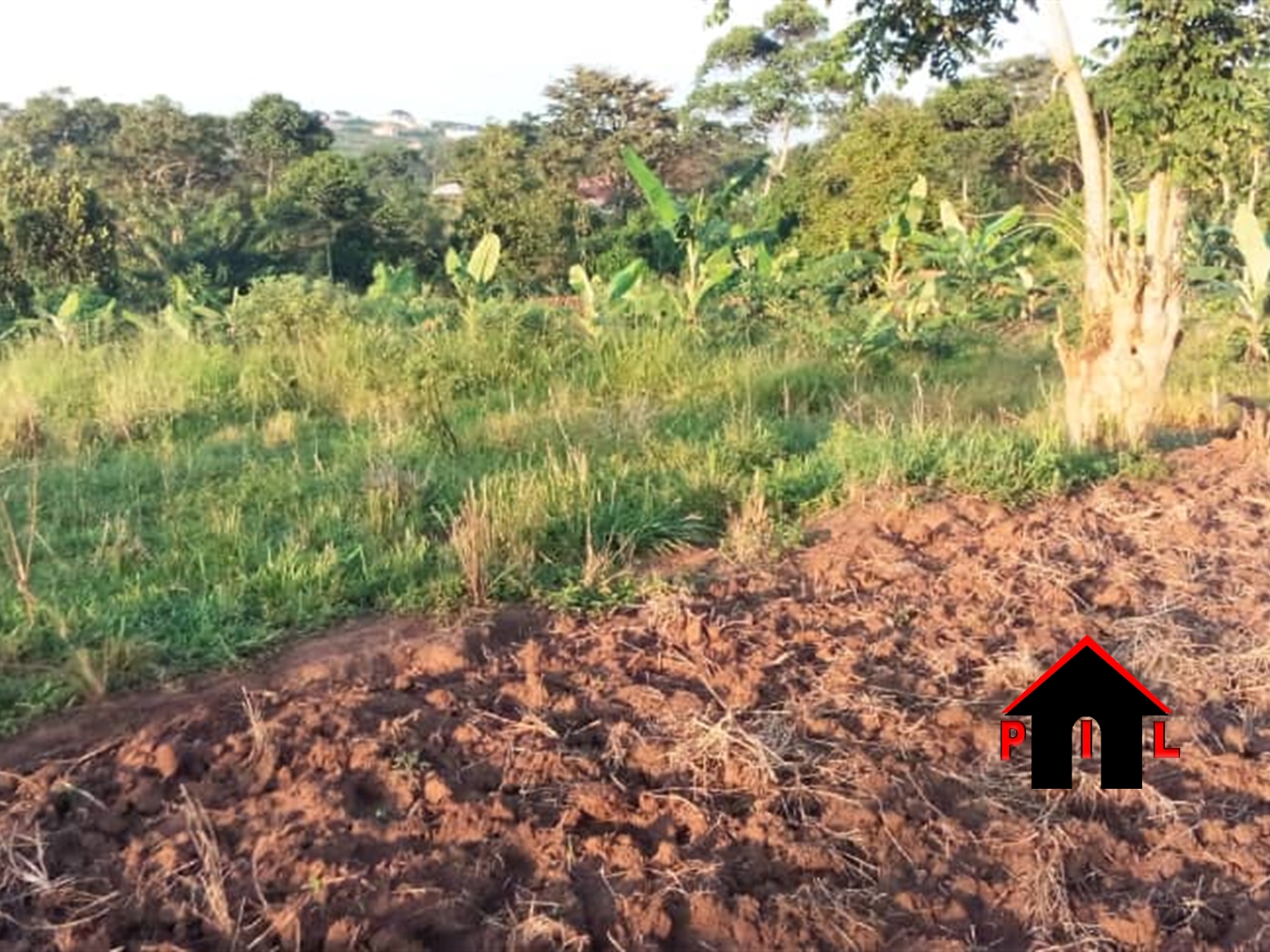 Residential Land for sale in Manyangwa Wakiso