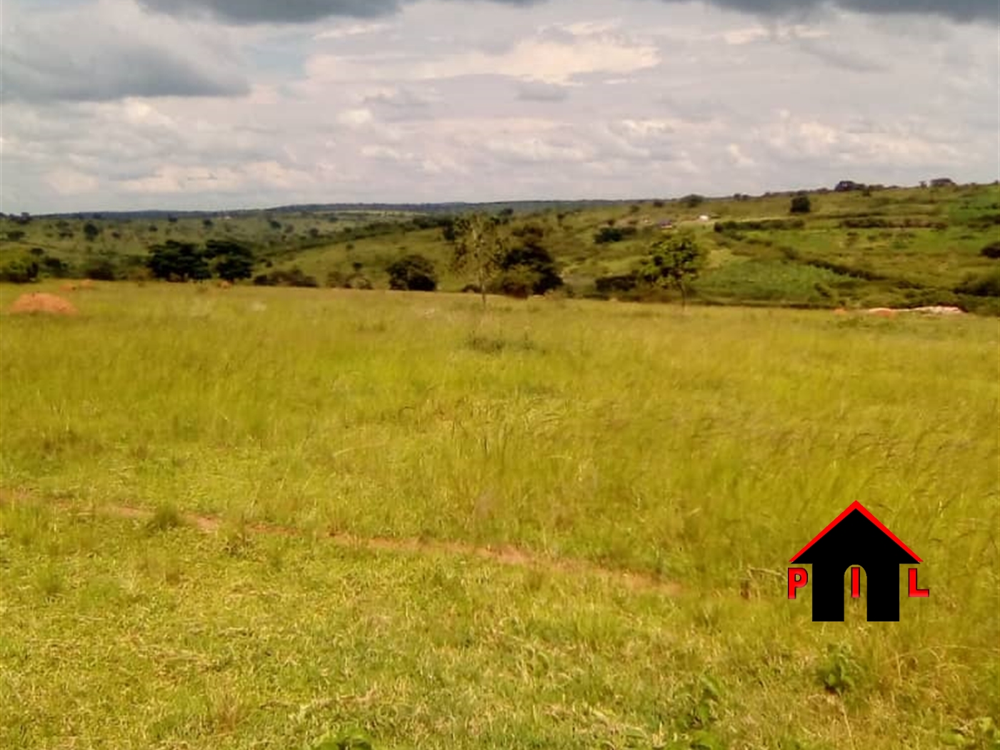 Agricultural Land for sale in Kikatsi Kiruhura