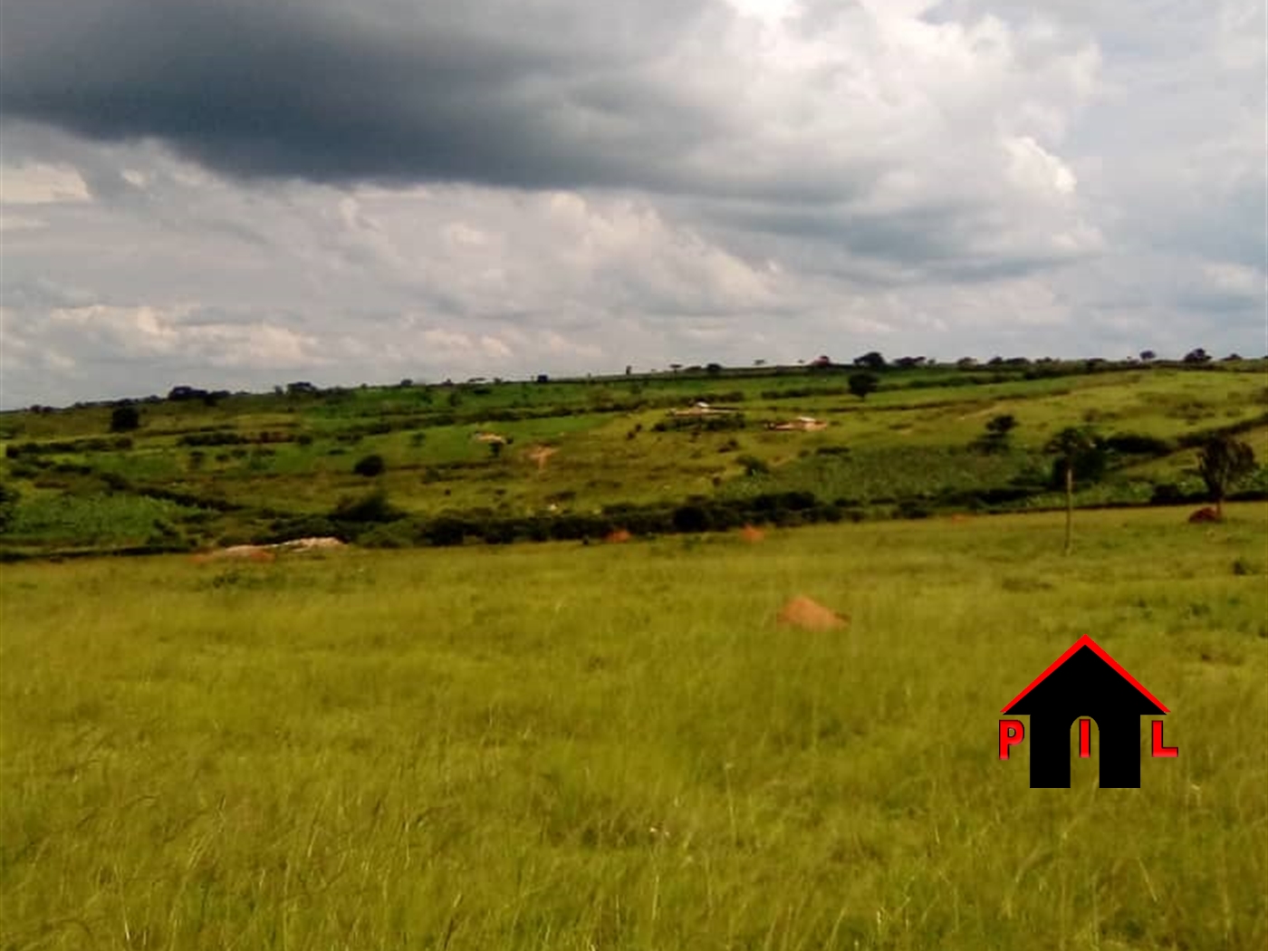 Agricultural Land for sale in Kikatsi Kiruhura