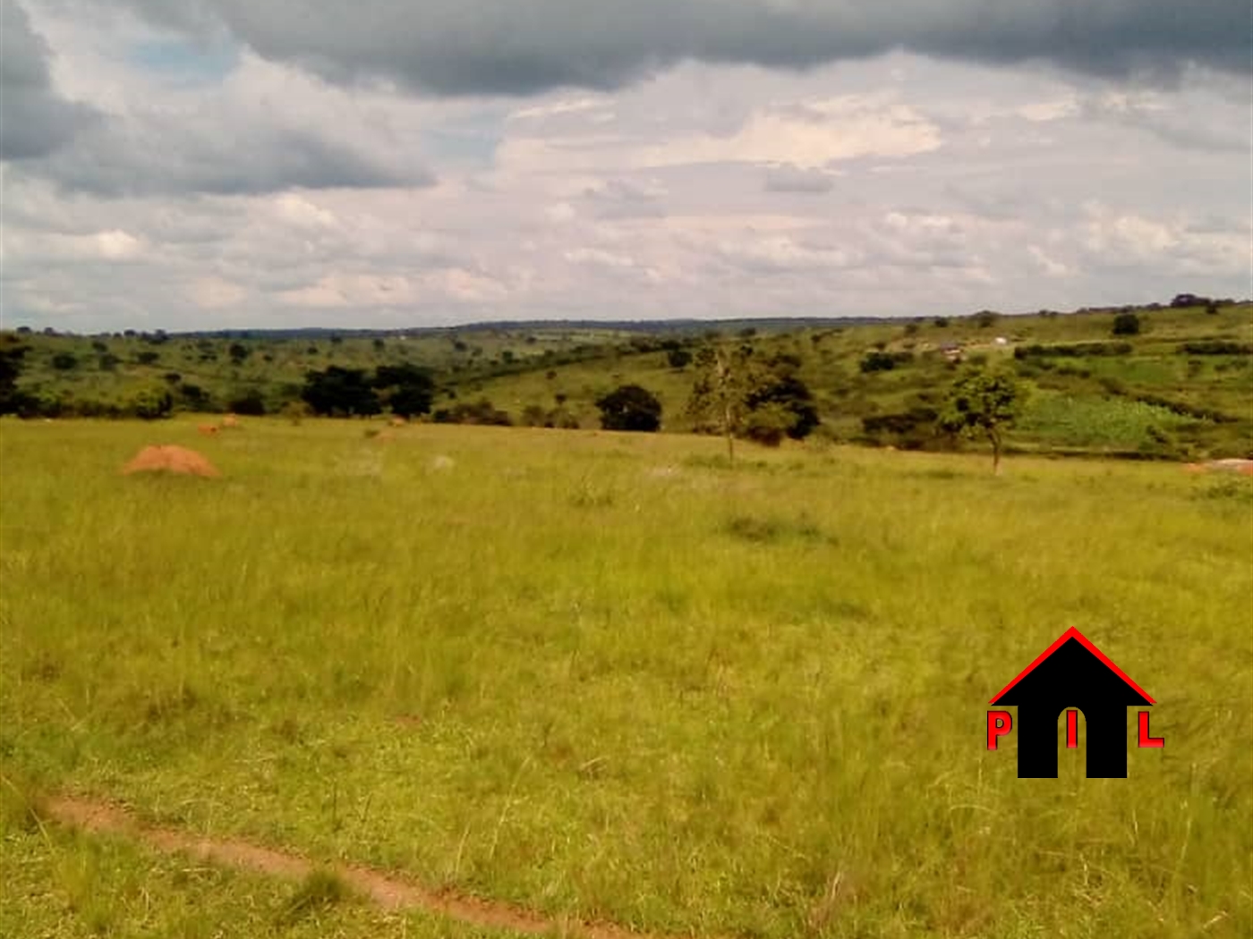 Agricultural Land for sale in Kikatsi Kiruhura