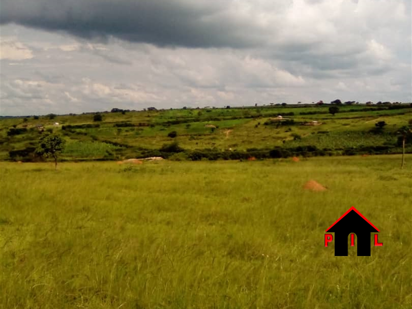 Agricultural Land for sale in Kikatsi Kiruhura