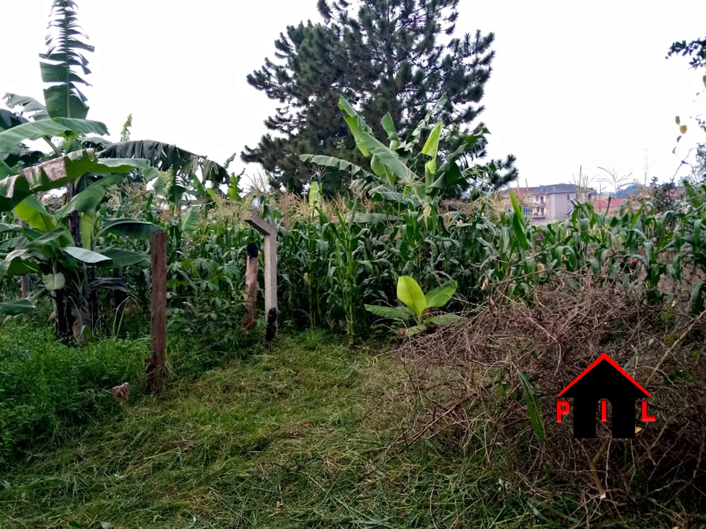 Residential Land for sale in Komamboga Kampala