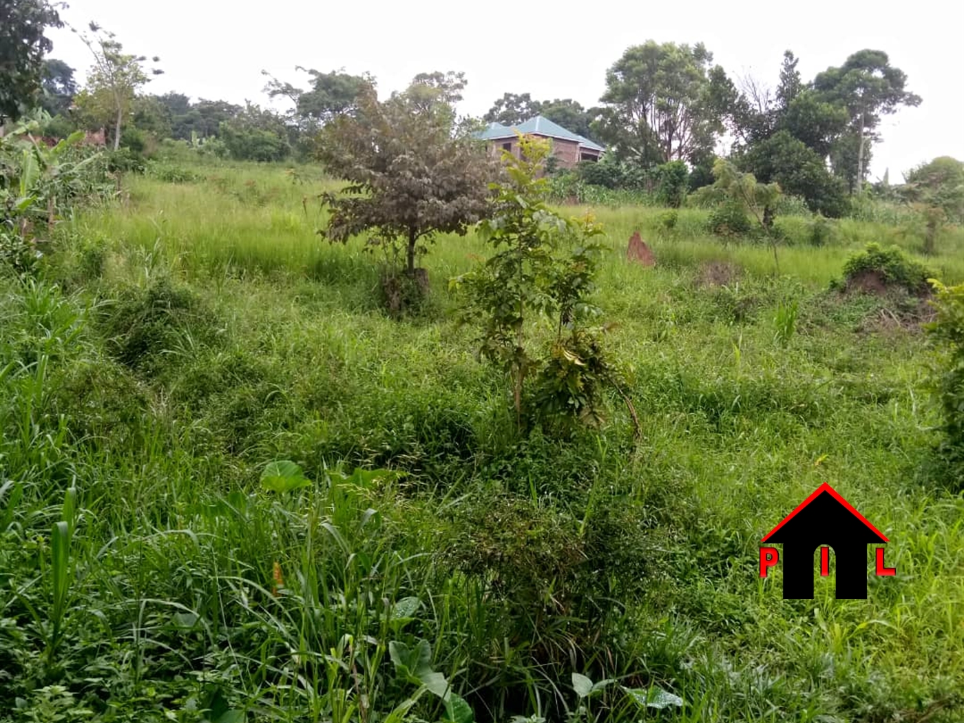 Residential Land for sale in Kiteetikka Wakiso