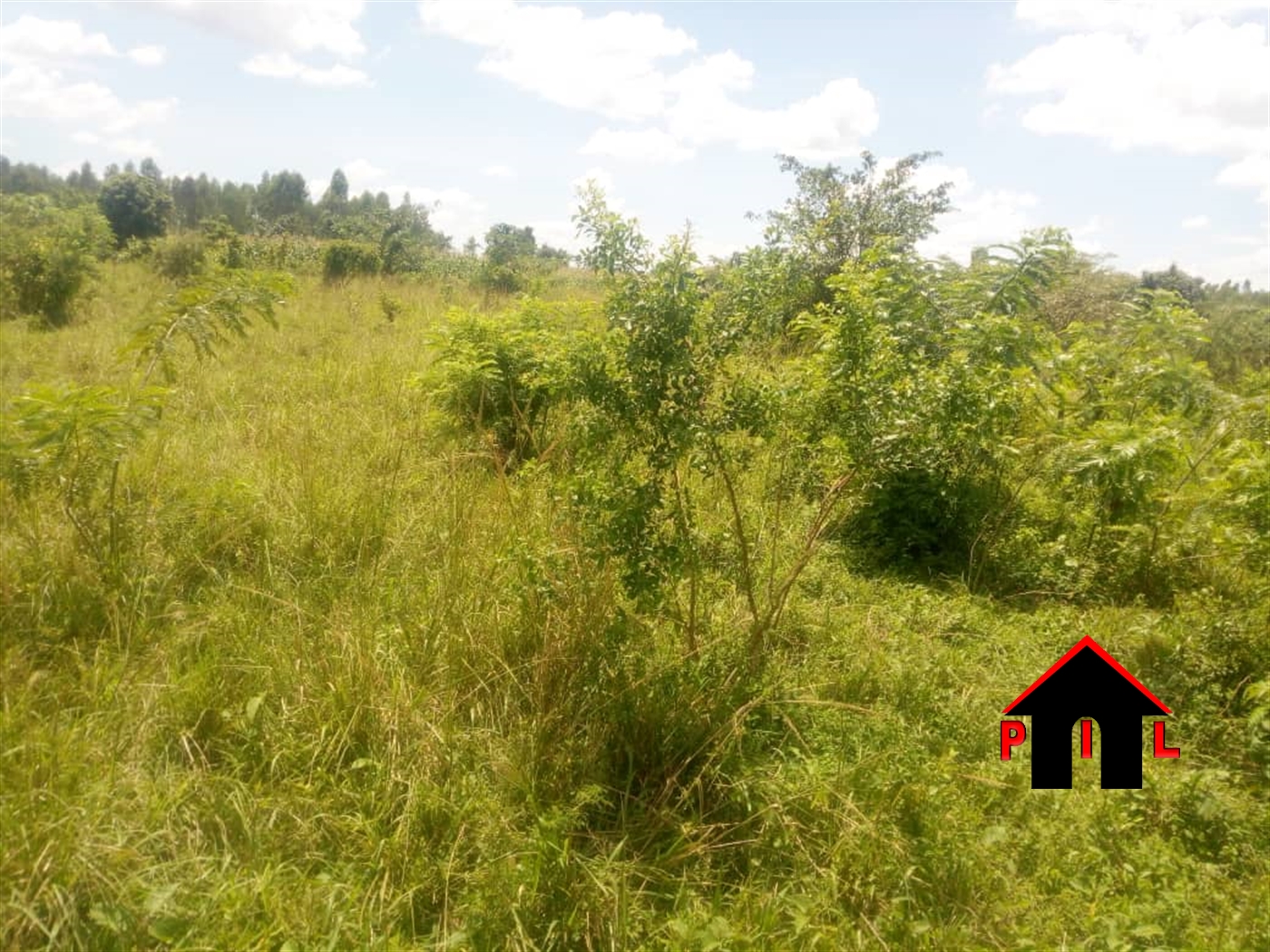 Agricultural Land for sale in Kikyuusa Luweero