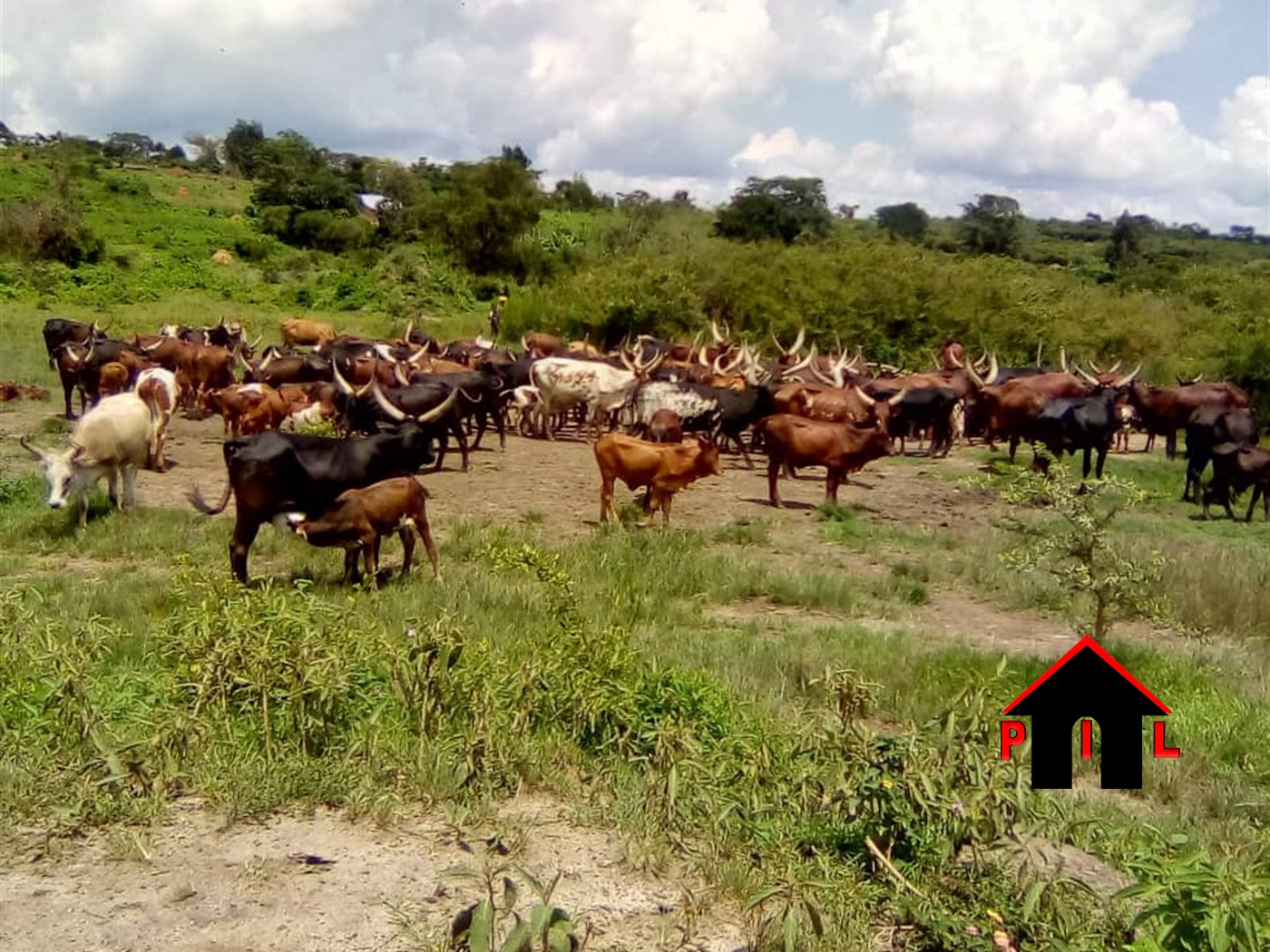 Agricultural Land for sale in Gomba Masaka