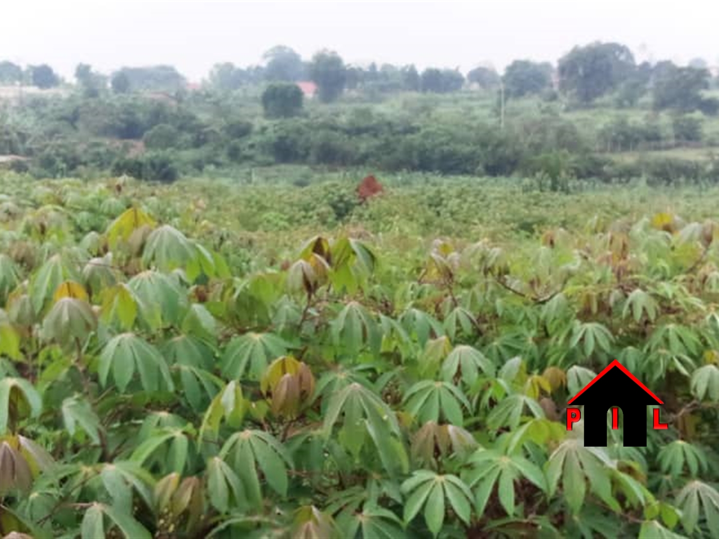 Residential Land for sale in Nakweelo Wakiso