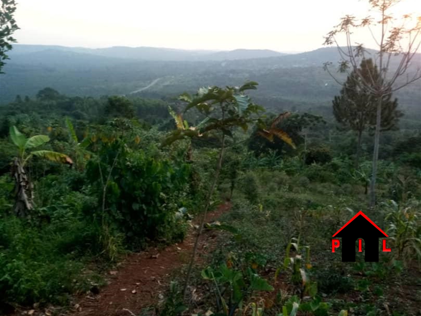 Commercial Land for sale in Kisubi Wakiso