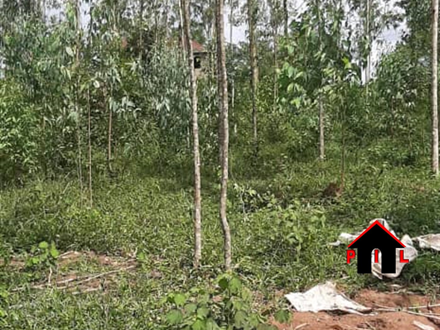 Commercial Land for sale in Kabanyolo Wakiso