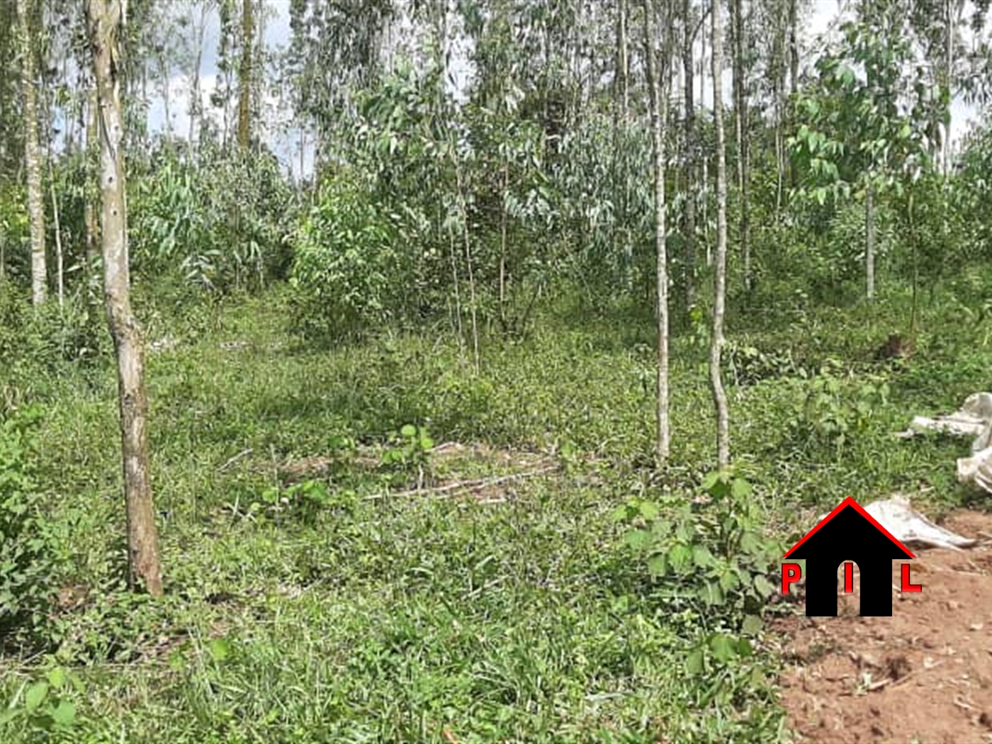 Commercial Land for sale in Kabanyolo Wakiso