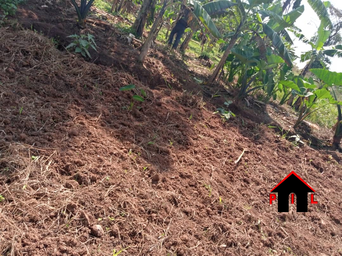 Residential Land for sale in Lumuli Wakiso