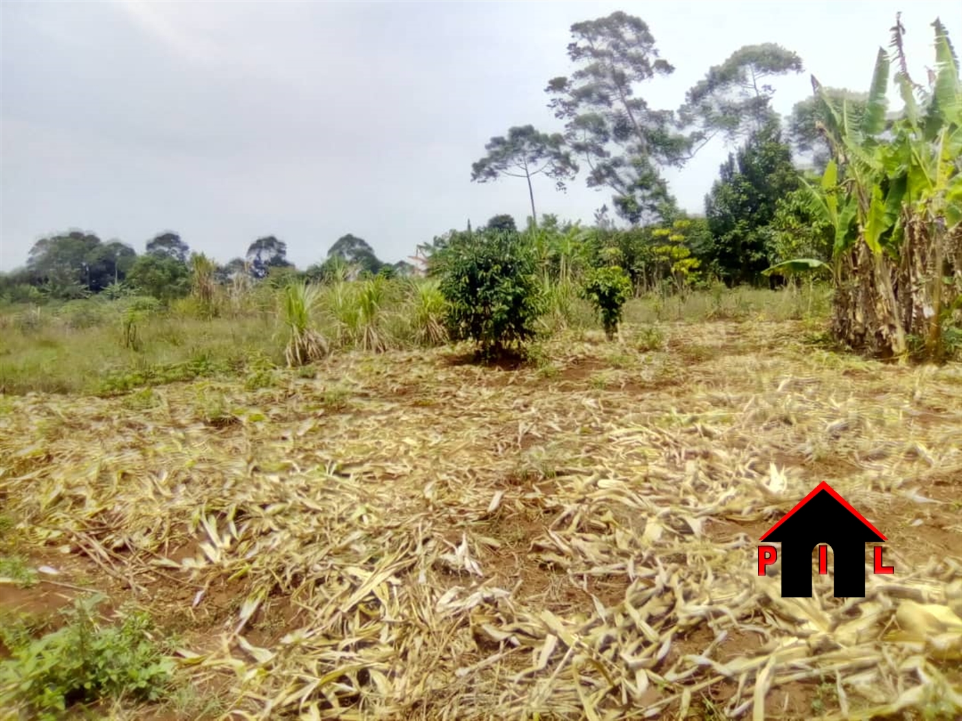 Agricultural Land for sale in Bulele Buyikwe