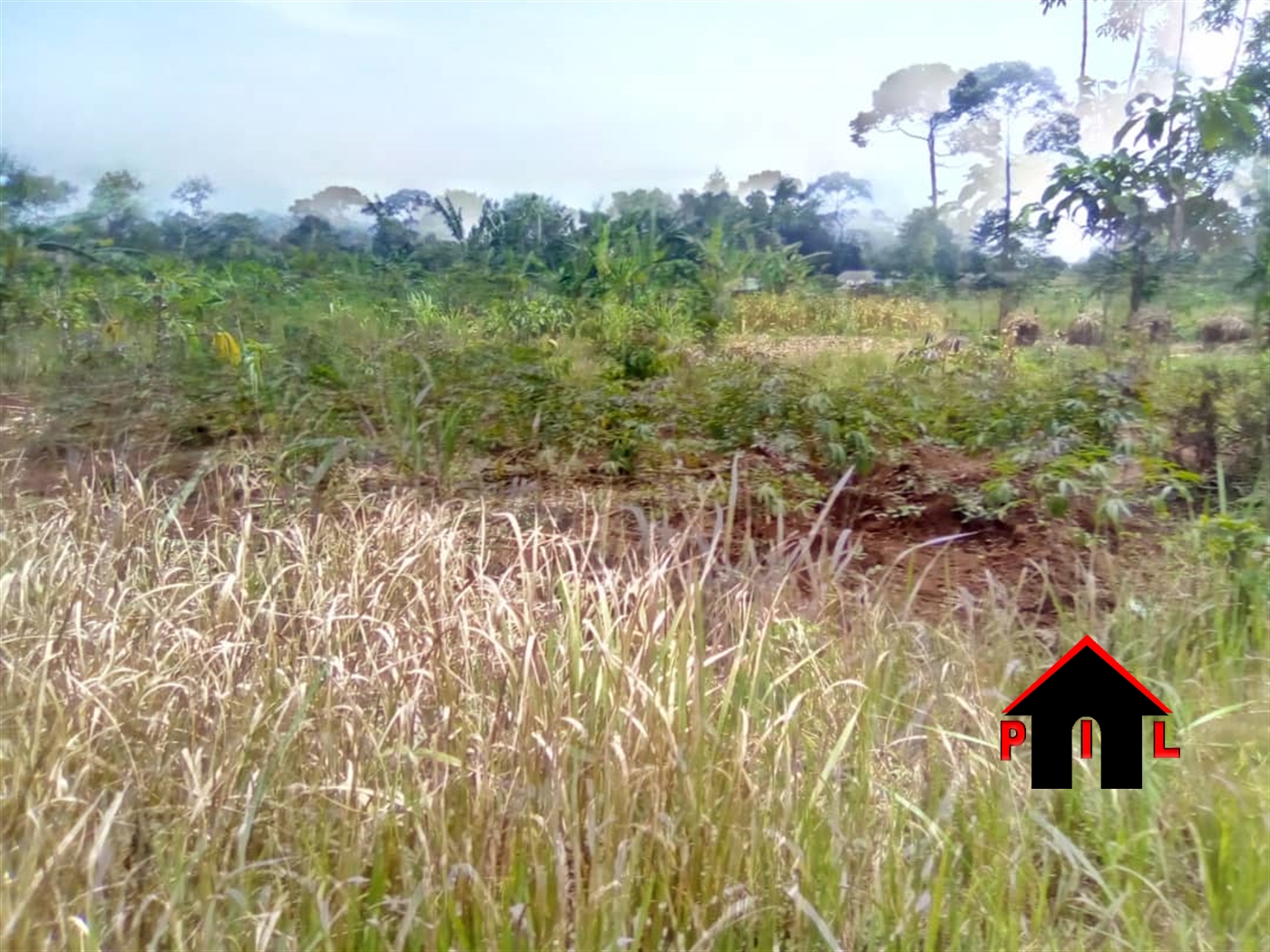 Agricultural Land for sale in Bulele Buyikwe