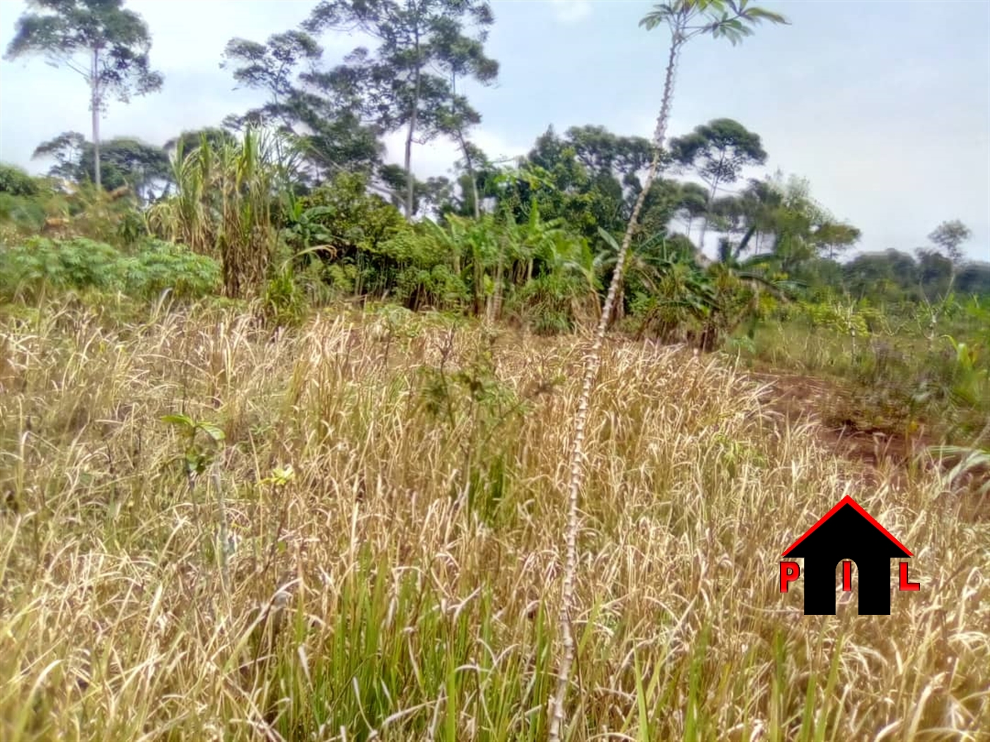 Agricultural Land for sale in Bulele Buyikwe