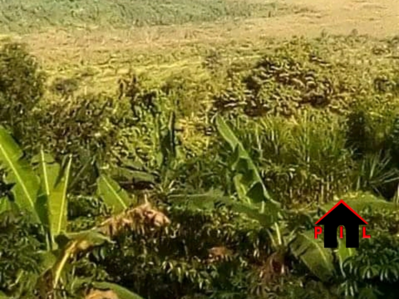 Commercial Land for sale in Butinindi Mukono