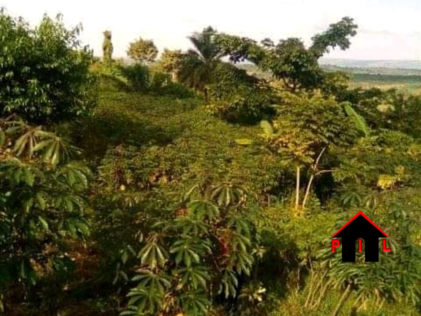 Commercial Land for sale in Butinindi Mukono