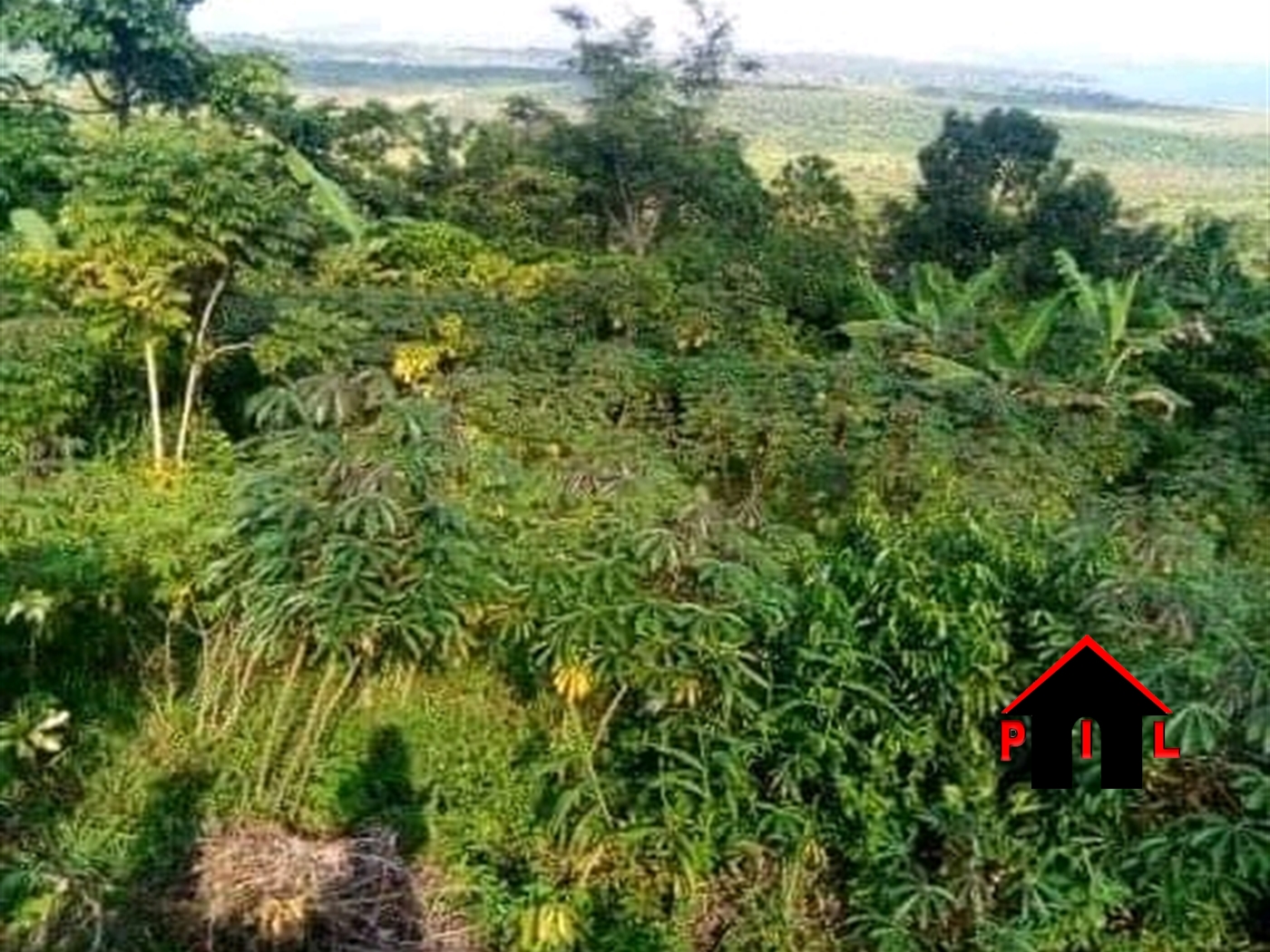 Commercial Land for sale in Butinindi Mukono