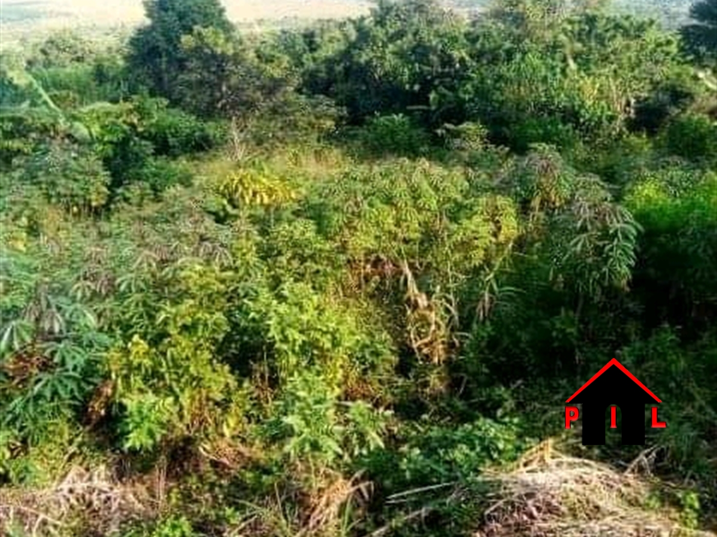 Commercial Land for sale in Butinindi Mukono