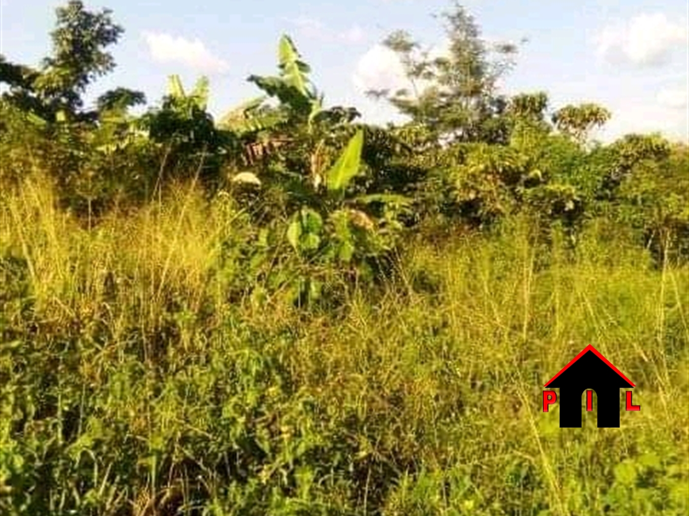 Agricultural Land for sale in Nakusubyaki Buyikwe