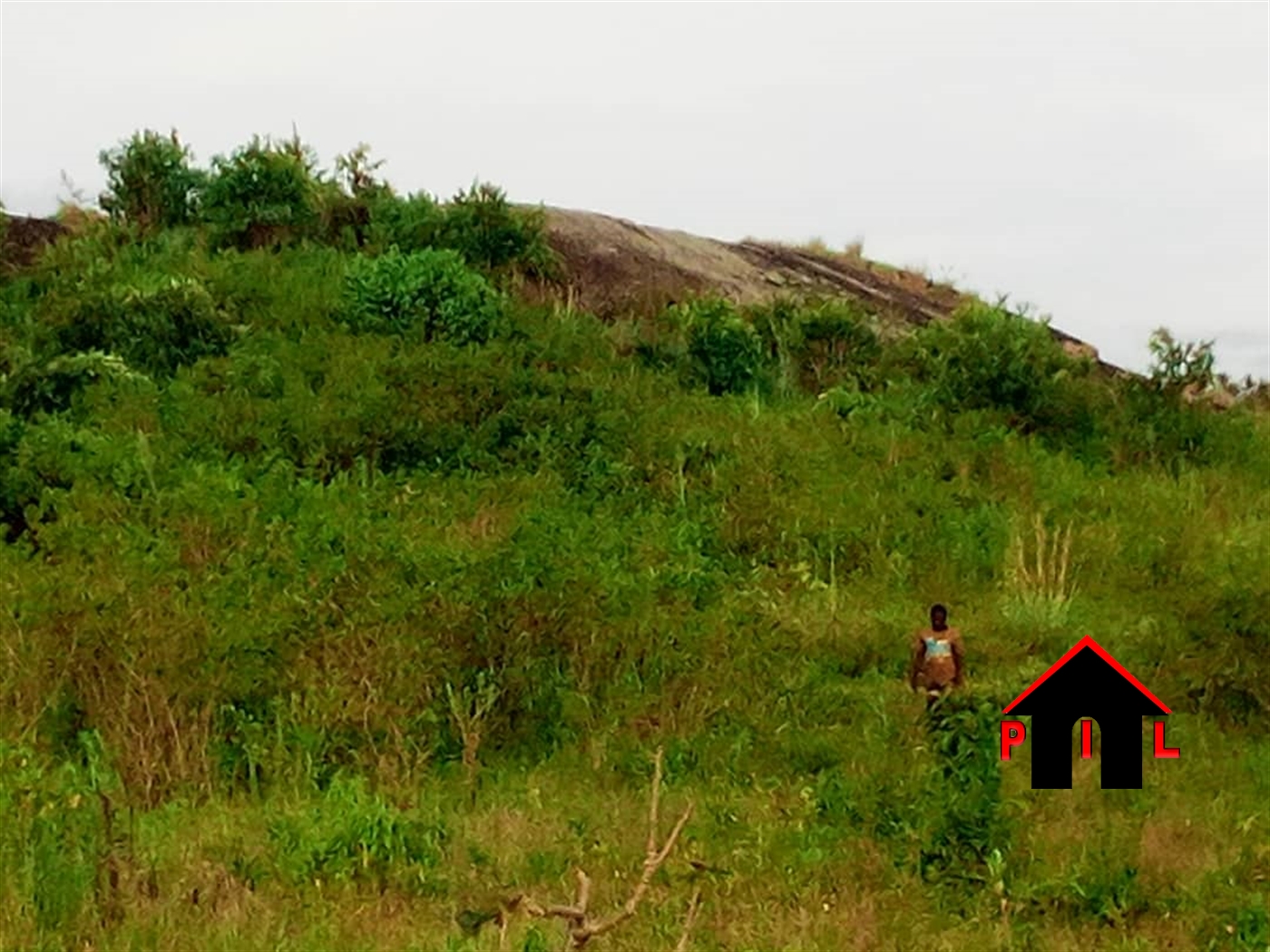 Agricultural Land for sale in Kawuku Wakiso