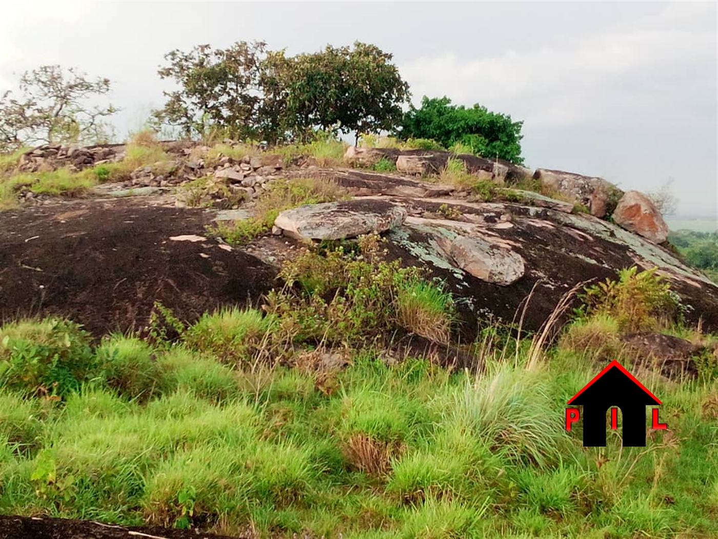 Agricultural Land for sale in Kawuku Wakiso