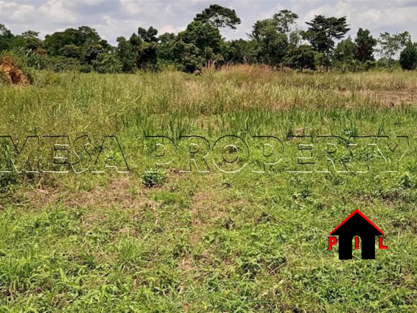 Residential Land for sale in Nsasa Wakiso