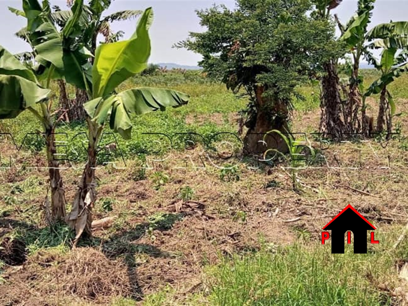 Residential Land for sale in Nsasa Wakiso