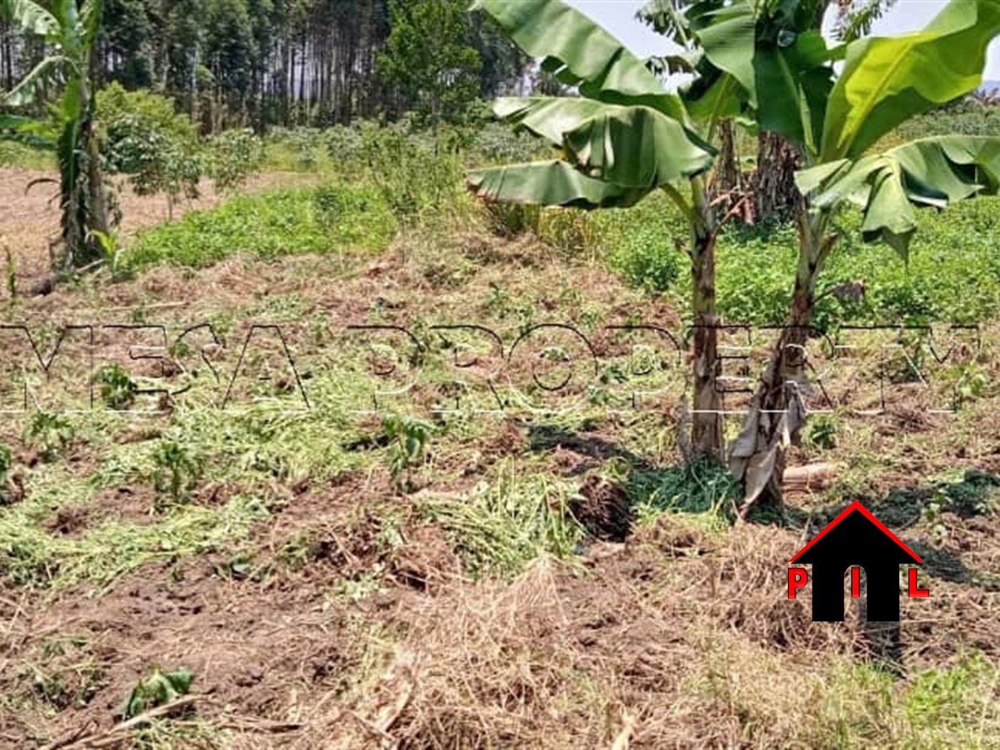 Residential Land for sale in Nsasa Wakiso