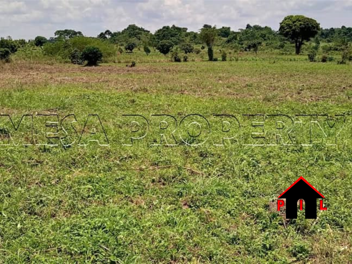 Residential Land for sale in Nsasa Wakiso