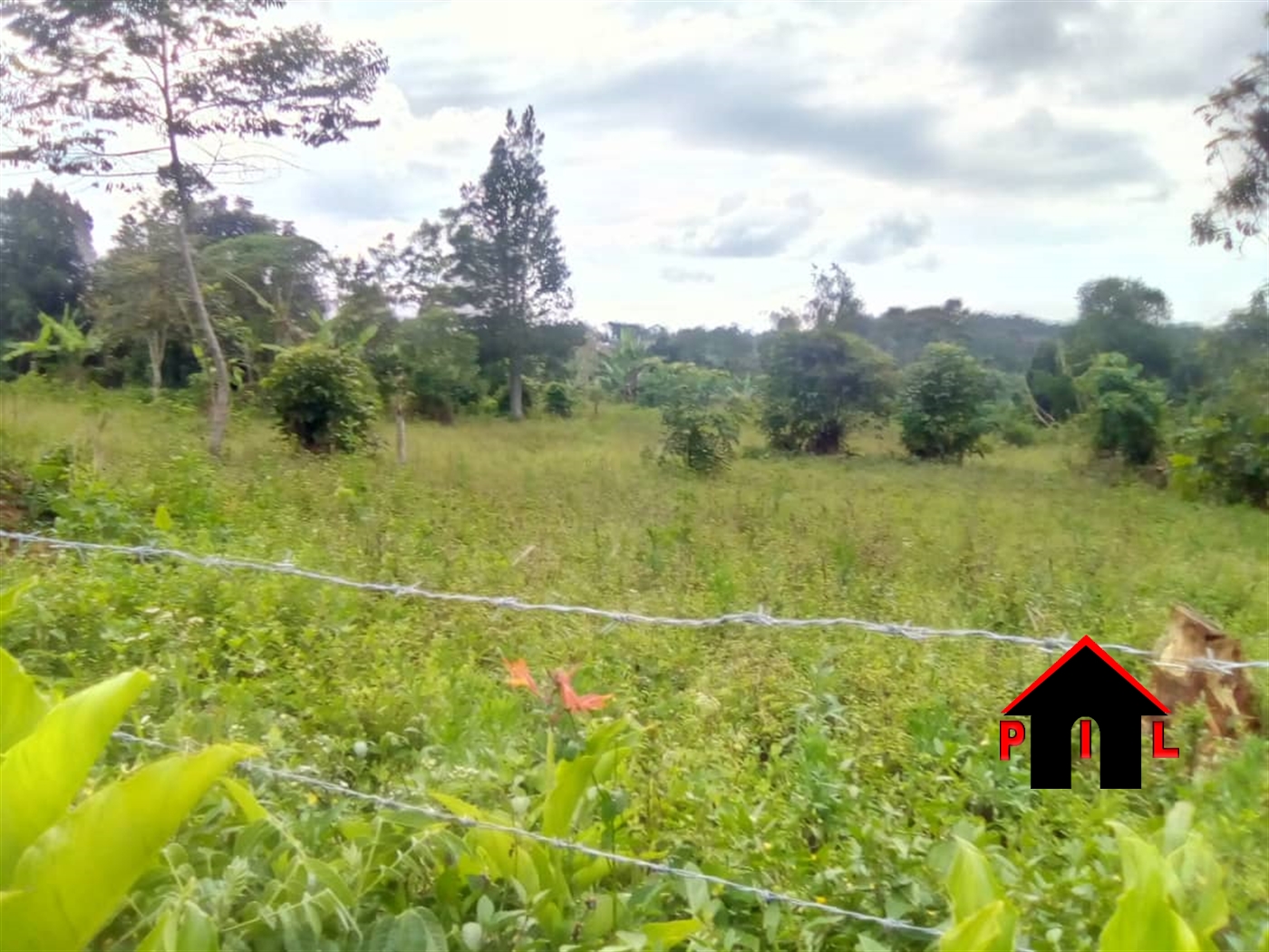 Commercial Land for sale in Mpoma Mukono