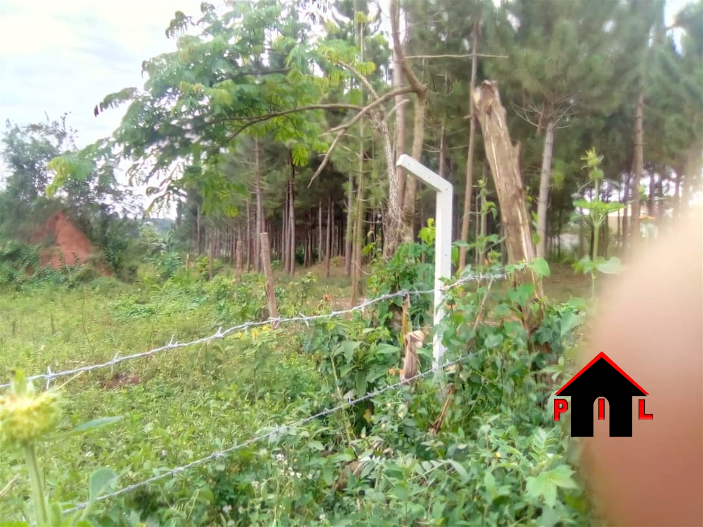 Commercial Land for sale in Mpoma Mukono